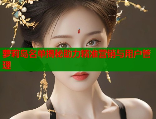 萝莉岛名单揭秘助力精准营销与用户管理  第1张
