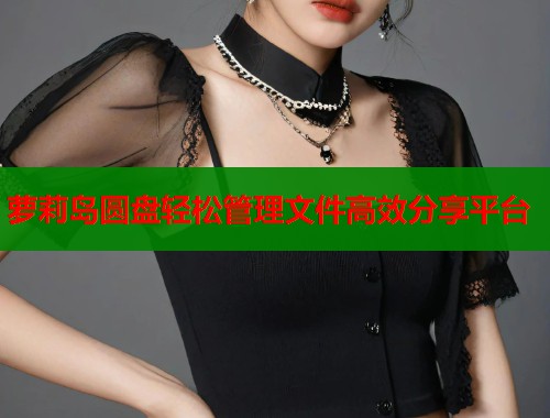 萝莉岛圆盘轻松管理文件高效分享平台  第1张
