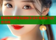 爱泼斯坦萝莉岛揭秘未成年易黑幕与权贵丑闻