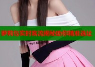 萝莉岛实时客流揭秘助你精准选址