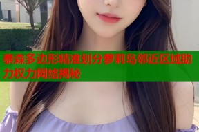泰森多边形精准划分萝莉岛邻近区域助力权力网络揭秘