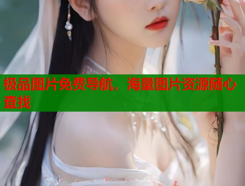 极品图片免费导航，海量图片资源随心查找  第1张