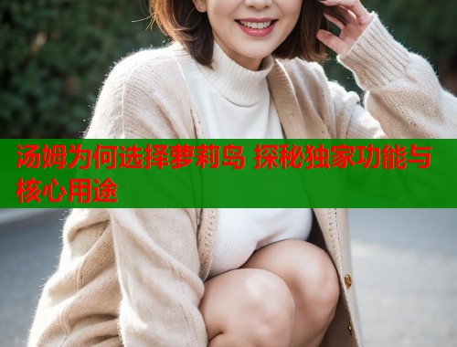 汤姆为何选择萝莉岛 探秘独家功能与核心用途  第1张