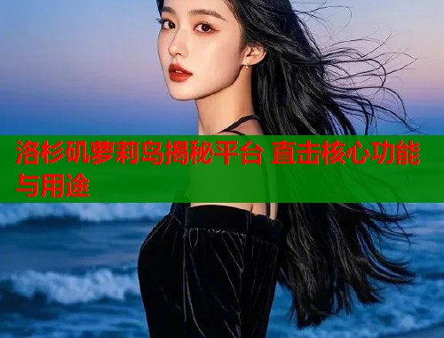 洛杉矶萝莉岛揭秘平台 直击核心功能与用途  第1张
