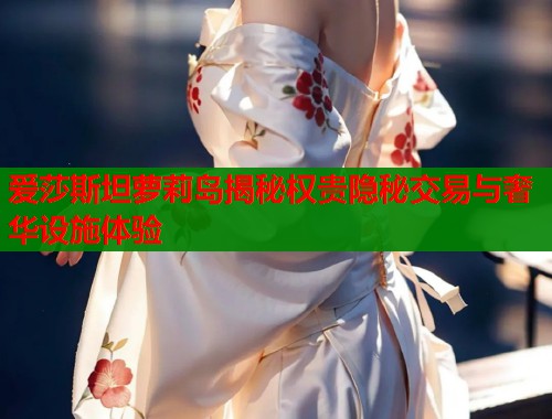 爱莎斯坦萝莉岛揭秘权贵隐秘交易与奢华设施体验  第2张